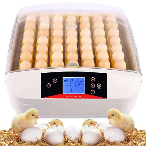 Buy Oppsdecor Egg Incubator Incubators For Hatching Eggs Automatic