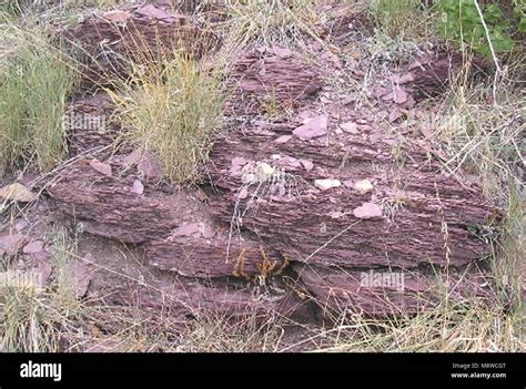 Red Shale Stock Photo Alamy