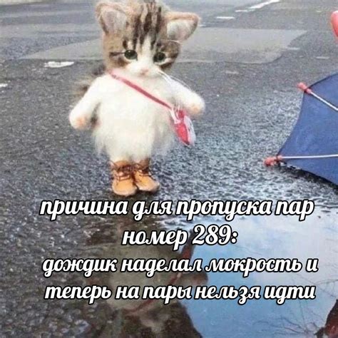 Pin by Nevermore on student memes | Cute love memes, Hello memes, Silly ...