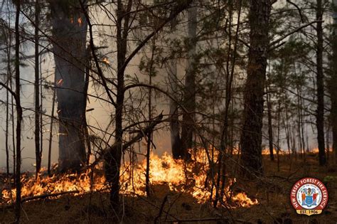 N.J. forest fire is contained after burning more than 400 acres ...