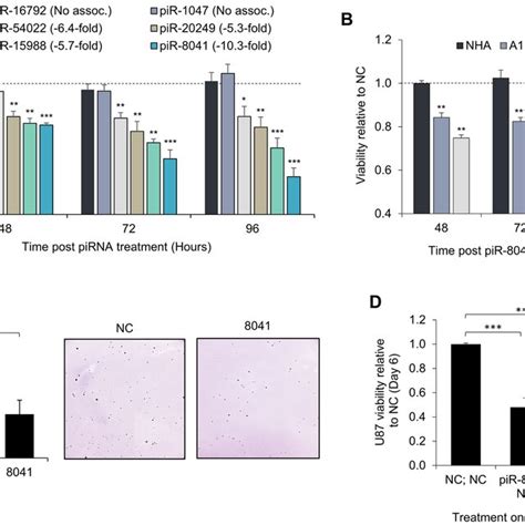 Reduction Of Gbm Cell Proliferation By Pir 8041 And Other Download