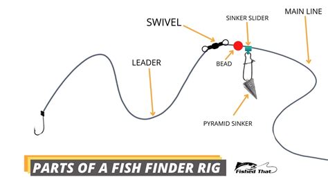 Surfcasting A Beginner S Guide To Surf Fishing Fished That