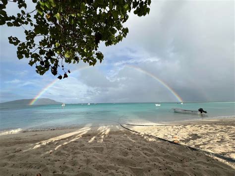 discovering fiji islands nature culture  adventure fijidream