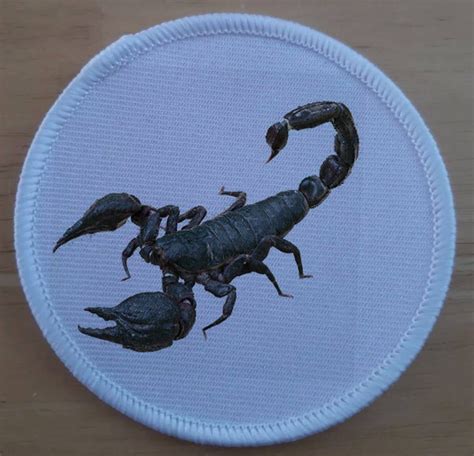 3 Inch Scorpion Iron Or Sew On Patch Badge Etsy