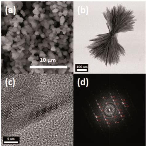 A Sem Image Of Nano Urchin Shaped Lifepo Nanoparticles Nu Lfp Nps