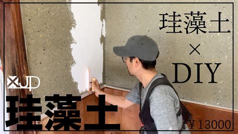 Diyパレット・珪藻土・漆喰塗り壁材 Diy 内装用 珪藻土 天然素材 オーガニックウォール ペースト 10kg入 クロスの上から リフォーム