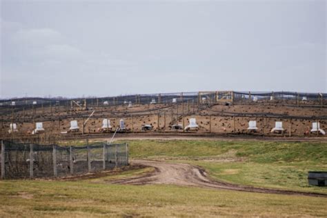How To Construct Durable Pheasant Flight Pens Blog