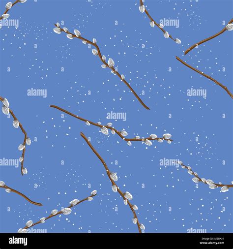 Pastel Background With Pussy Willow Seamless Backround Stock Vector Image Art Alamy