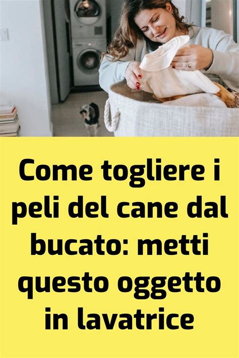 Come Togliere I Peli Del Cane Dal Bucato Metti Questo Oggetto In