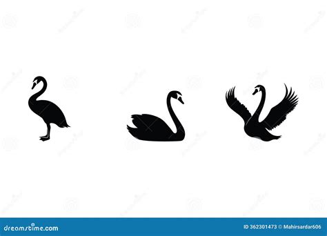 swan silhouette royalty  stock photo cartoondealercom