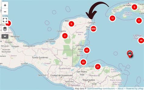 How To Avoid Cancun Seaweed And Sargassum In 2024