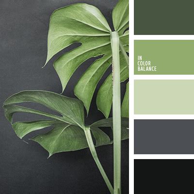 темно-зеленый цвет | IN COLOR BALANCE