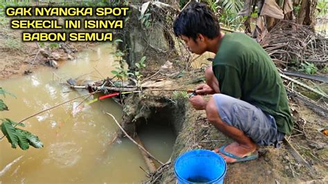 Terkejut Mancing Di Selokan Kecil Isinya Babon Semua Youtube