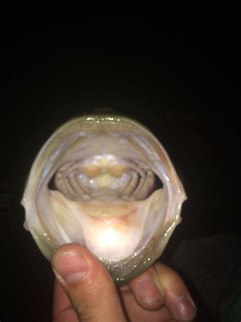 Philadelphia University Fishing Club