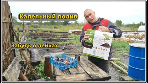 Капельный полив Жук в теплице - YouTube