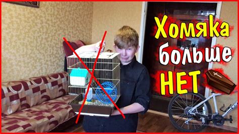 Хомяка больше нет... - YouTube