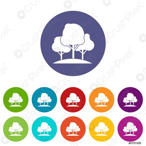 Los Rboles Forestales Establecen Iconos Vector De Stock