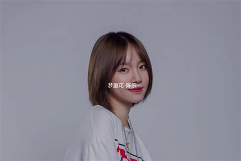 梦里花 陈乐一 知乎