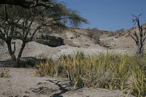 Yacimiento Arqueol Gico De Olduvai Tanzania El Equipo De Flickr