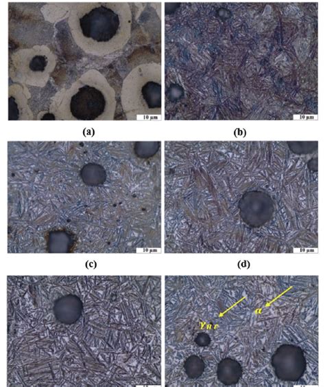 Om Micrographs Of Ductile Cast Iron In A As Cast Condition And Download Scientific Diagram