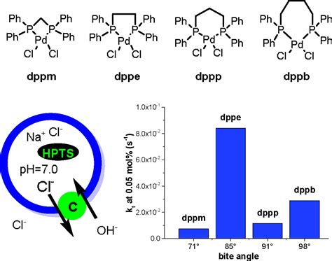 Transmembrane Chloride Transport By DiphosphinePd II Complexes