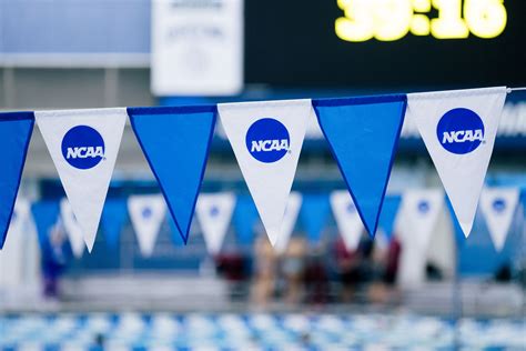 Ncaa Division 2 Swimming Championships 2024 Ardyth Mireielle