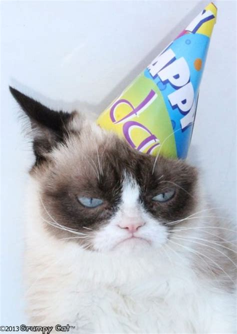 Grumpy Cat El Gato Malhumorado Cumplió Años