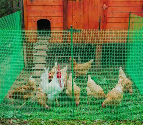 Сетка для птичника 15*15 мм (1,2*20 м) - интернет магазин Подворье