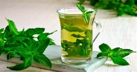 Как правильно употреблять мятный чай, чтобы избавиться от отёков ...