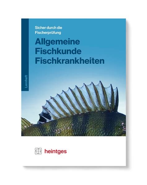 Allgemeine Fischkunde Und Fischkrankheiten Heintges Sicher Durch