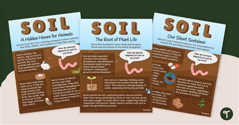 The Importance Of Soil Posters Teach Starter