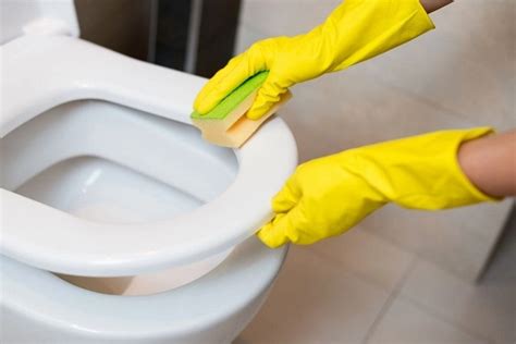 Comment Nettoyer Un Abattant De Wc Jauni Naturellement Quelles Sont