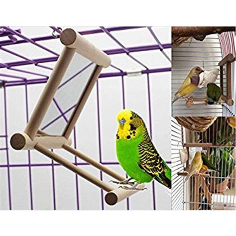 Animal de estimação pássaro papagaio periquito budgie cockatiel gaiola