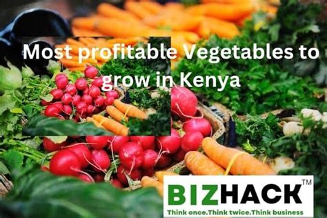 Most Profitable Vegetables To Grow In Kenya Bizhack