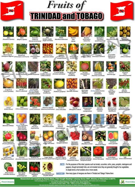 17 Best images about Caribbean Fruits and vegetables on Pinterest ...