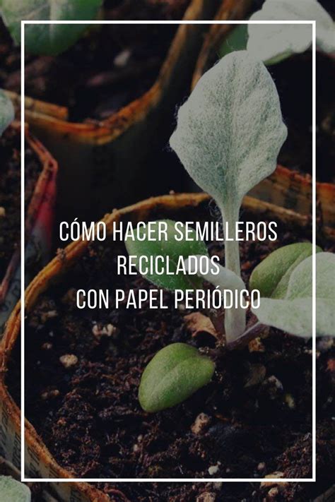 C Mo Hacer Semilleros Reciclados Con Papel Peri Dico Semillero