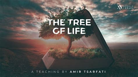 Amir Tsarfati The Tree Of Life And Jesus Online Sermons 2024