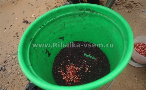 Все прикормки для ловли рыбы: донные, фидерные, для мелкой и крупной ...