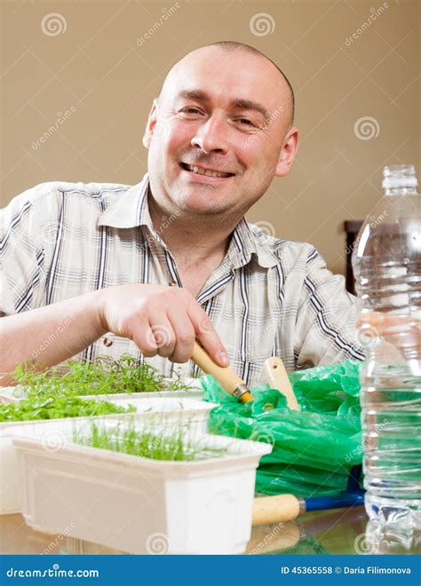 Man Growing Parsley and Dill Stock Photo - Image of plant, small: 45365558