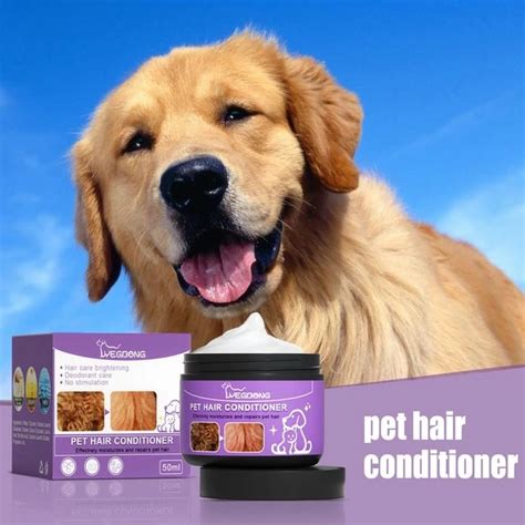 What Shampoo Is Good For Dogs With Dandruff