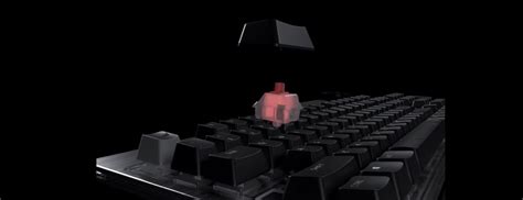 Buy Mountain Everest Core Tkl Hot Swap Keyboard Black Mx Brown Mg Evk B Co Us Pc Case Gear