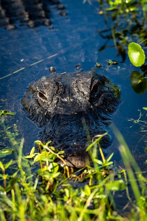 Line Of Duty Cast Secrets Revealed: Who Plays Your Favourite Detective?