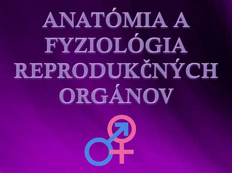 Anat Mia A Fyziol Gia Reproduk N Ch Org Nov Ppt St Hnout