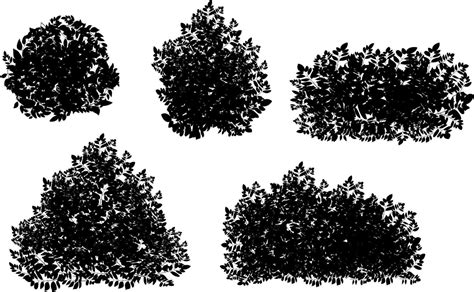 Page 2 Shrubs Vector Art Icons And Graphics For Free Download