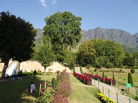 Nishat Bagh Garden Srinagar Mughal - Free photo on Pixabay - Pixabay