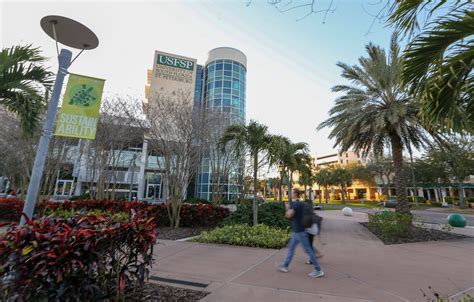 Download University Of South Florida Main Campus Wallpaper