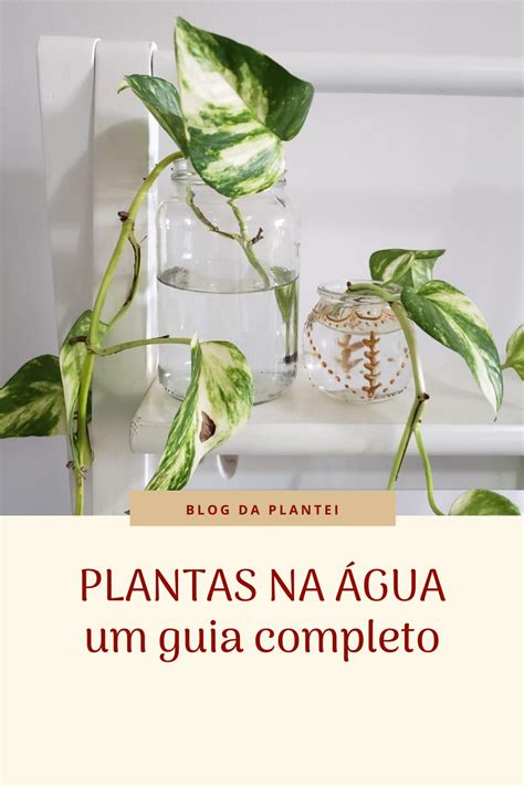 Guia Como Cultivar Plantas Na Gua Blog Da Plantei Water Plants