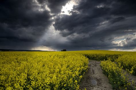 Ta Su Super Elijske Oluje Koje Se Pribli Avaju Srbiji