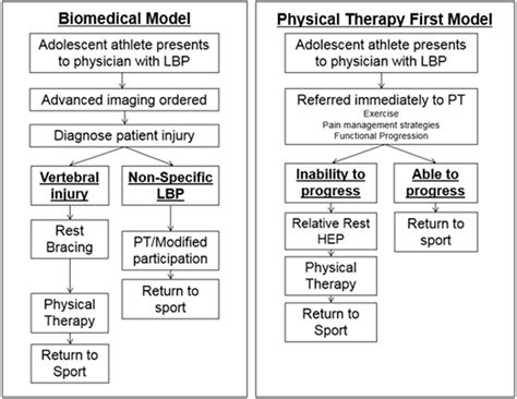 An Alternative Model of Care for the Treatment of Adolescent Athletes
