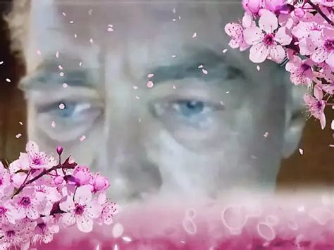 Daddy S Face Free Gay Porn Video Xhamster